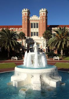 a fountain in front of a building with palm trees