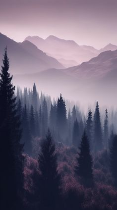 the mountains are covered with fog and trees in the foreground, while the sky is purple