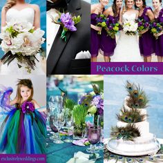 peacock wedding colors for the bride, groom and flower girl bouquets in shades of purple