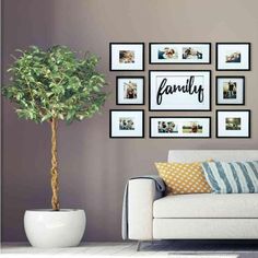 a living room with pictures on the wall and a potted plant next to it