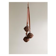 two pine cones hanging from a string