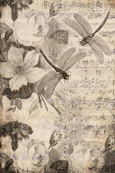 two dragonflies sitting on top of flowers with music sheets in the backround