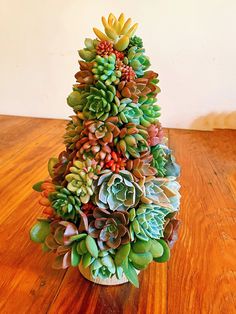 a small christmas tree made out of succulents on top of a wooden table