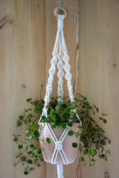 a potted plant hanging from a rope on a wooden wall with green plants in it