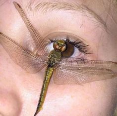 a close up of a person's eye with a dragonfly on their forehead