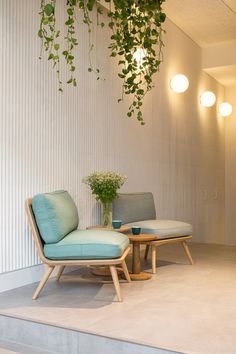 two chairs and a table with plants hanging from the ceiling