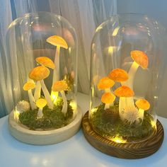 two glass domes with yellow mushrooms in them