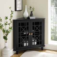 a black cabinet sitting in front of a window next to a vase and potted plant