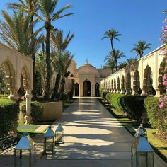 an outdoor courtyard with palm trees and potted plants