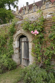 an old door is surrounded by greenery in front of a brick wall with roses growing on it