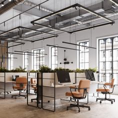 an open office with desks, chairs and plants in the middle of the room