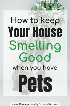 a sign that says, how to keep your house smelling good when you have pets