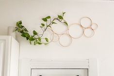 some plants are hanging on the wall above a mirror in a room with white walls