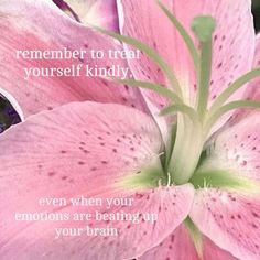 a pink flower with the words, remember to treat yourself kindly even when your emotions are beating up your brain