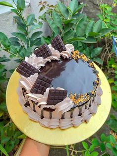 a chocolate cake on a yellow plate with green plants in the back ground and someone's hand holding it