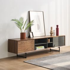 a plant is sitting on top of a shelf next to a framed photograph and books