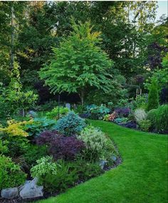 a lush green lawn surrounded by trees and bushes