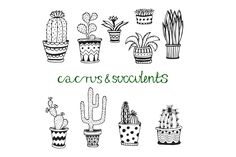 hand drawn cactus and succulents on a white background with the words cactus & succulents