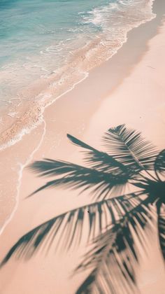 a shadow of a palm tree on the beach next to the ocean with waves coming in