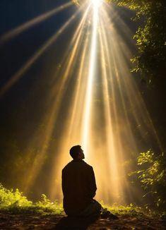 a man sitting on the ground in front of trees with bright beams of light coming from behind him