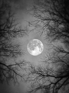 the moon is seen through some trees in this black and white photo, it appears to be very dark