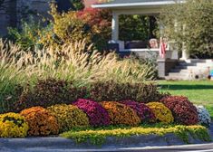 colorful flowers and grasses in front of a house