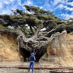 a man standing in front of a tree on the beach