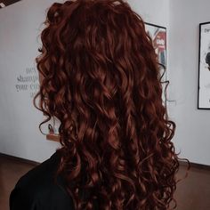 Curly Red Hair, Dyed Curly Hair, Red Hair Inspo, Curly Crochet Hair Styles, Red Curly Hair, Ginger Hair Color, Dark Red Hair, Beauty Hairstyles, Colored Curly Hair