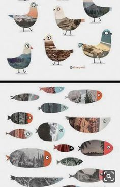 two pictures with different types of birds on them