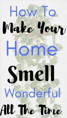 a house plant with the words how to make your home smell wonderful all the time