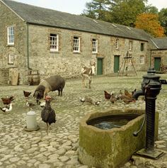 there are many animals in the courtyard of this old stone building and water fountain,