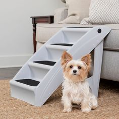 a small white dog sitting in front of a gray stair case on the floor next to a couch