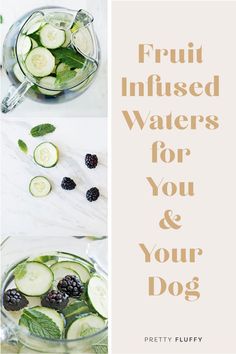 fruit infused water for you and your dog in a blender with cucumbers, blackberries, mints