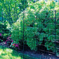 the garden is fenced in and ready to be used as an outdoor planter