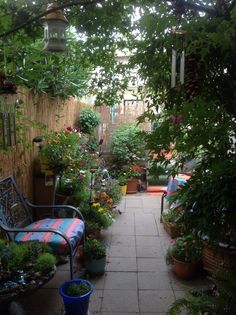 an outdoor patio with lots of plants and potted plants on the side walk way