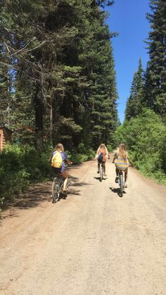 three people riding bikes on a dirt road in the woods with pine trees behind them