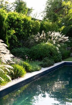 an outdoor swimming pool surrounded by greenery