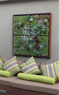 a living room with couches covered in pillows and plants on the wall behind them