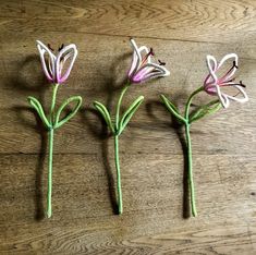 three flowers are sitting on the wooden floor next to each other, one is pink and white