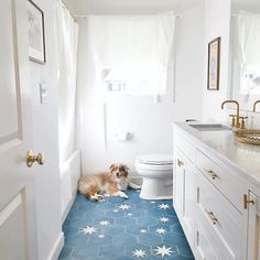 a dog laying on the floor in a bathroom next to a toilet and sink with white cabinets