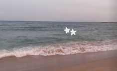 two white stars are floating in the water at the edge of an ocean with waves