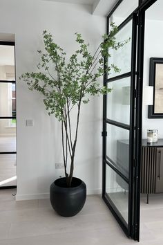 a potted plant sitting in the middle of a room next to a glass door