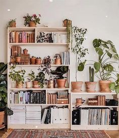 the shelves are filled with plants and books