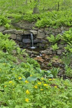 a small stream running through a lush green forest filled with plants and flowers, next to a stone wall