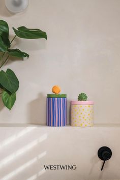 three different colored pots sitting on top of a shelf next to a potted plant