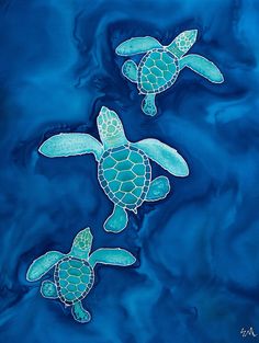 two green turtles swimming in blue water