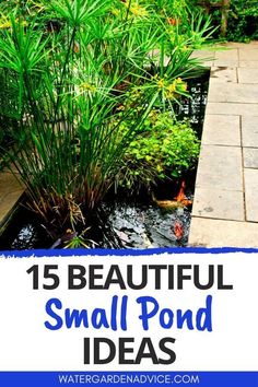 small pond with plants in it and the words 15 beautiful small pond ideas