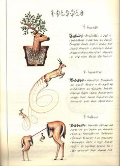 an old book with pictures of deers and plants in the same language on it