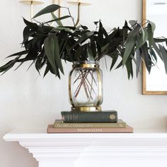 a potted plant sitting on top of a stack of books next to a mirror