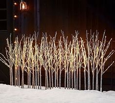 lighted trees in the snow near a barn